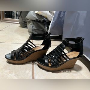 American Eagle Wedges